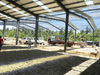 Galvanized Steel Frame Prefabricated Warehouse