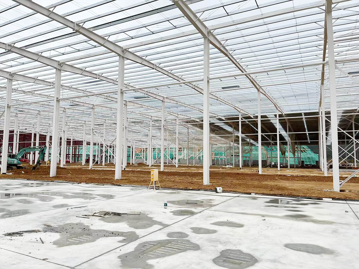 Automobiles Repair Shop Steel Structure Warehouse