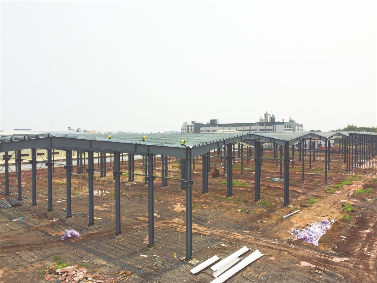 Professional Design Large Span Light Steel Structure Shed Prefabricated Steel Frame Construction Warehouse 