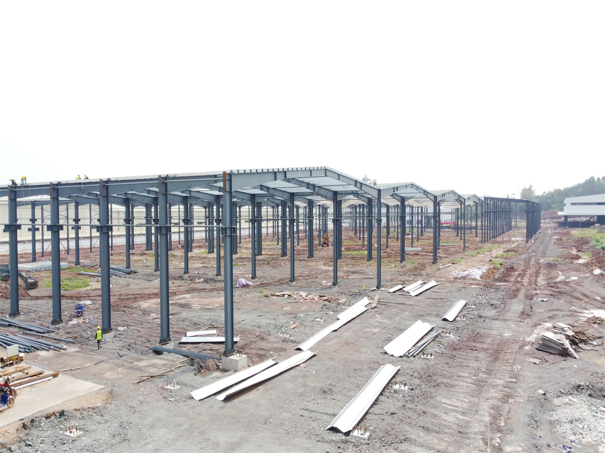Professional Design Large Span Light Steel Structure Shed Prefabricated Steel Frame Construction Warehouse 