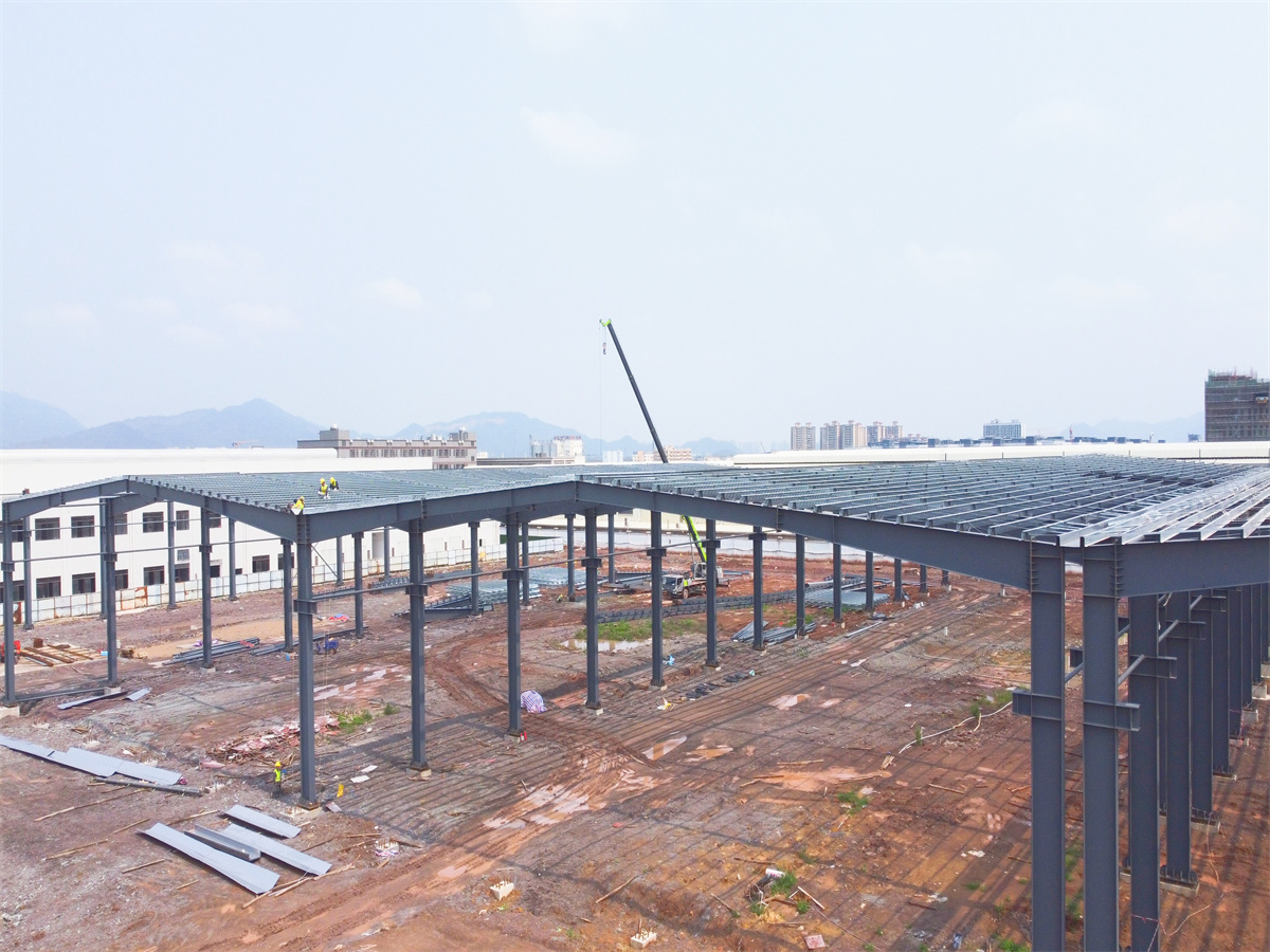 Professional Design Large Span Light Steel Structure Shed Prefabricated Steel Frame Construction Warehouse 